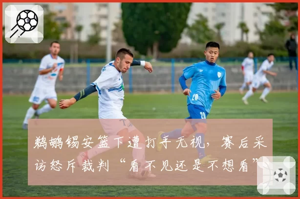 鹈鹕锡安篮下遭打手无视,赛后采访怒斥裁判“看不见还是不想看”?