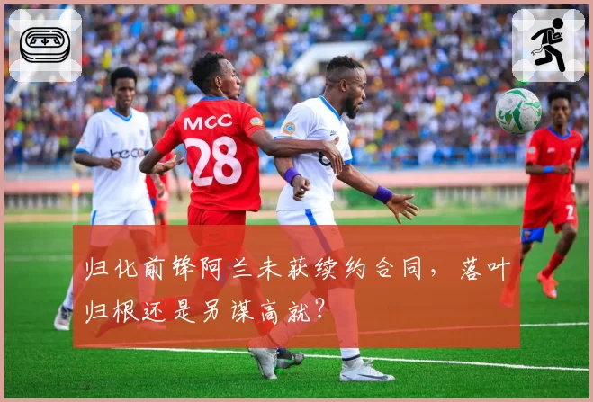 归化前锋阿兰未获续约合同,落叶归根还是另谋高就?