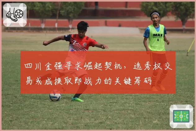 四川金强寻求崛起契机，选秀权交易或成换取即战力的关键筹码