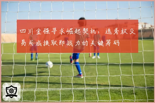 四川金强寻求崛起契机，选秀权交易或成换取即战力的关键筹码