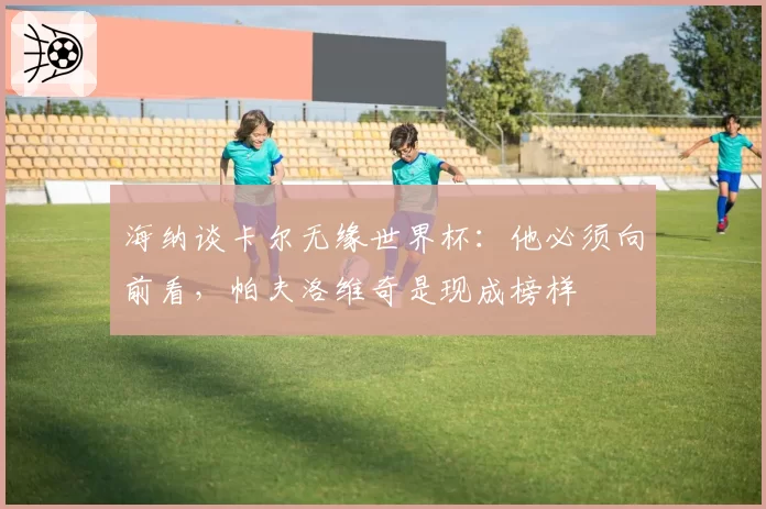 海纳谈卡尔无缘世界杯：他必须向前看，帕夫洛维奇是现成榜样