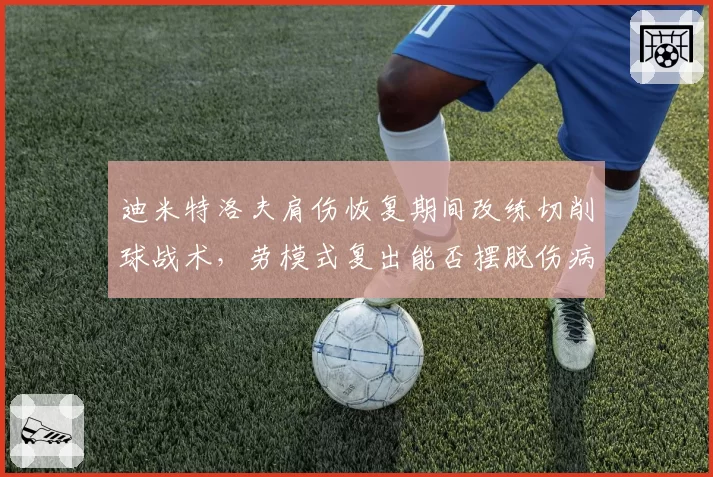 迪米特洛夫肩伤恢复期间改练切削球战术，劳模式复出能否摆脱伤病魔咒